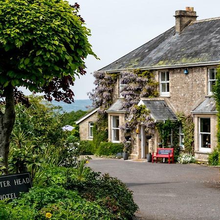 Fairwater Head Hotel Аксминстър Екстериор снимка